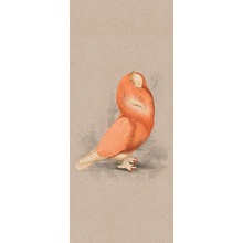 ABK Moooi Nesting Room 0021314 Cloistered Dove Nat Декор 120x280 см, Италия, под камень  - фото 1 - фото 1