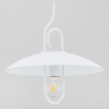 Alfa Chee 60625 Потолочный светильник  - фото 1 - фото 1