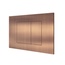 Almar Plate E330001.CO Медь брашированная Кнопка смыва 0,5x24,5x16,5 см, Италия - фото 1