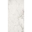 Alpas Euro Premium Marble Medicea Marble Pol.6 mm Керамогранит 60x120 см, Индия, под мрамор - фото 1
