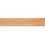 Alpas Euro Wood Pinewood Brino Mat Керамогранит 20x120 см, Индия, под дерево - фото 17