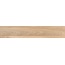 Alpas Euro Wood Vocore Camel Керамогранит 20x120 см, Индия, под дерево - фото 7