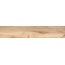 Alpas Euro Wood Vocore Camel Керамогранит 20x120 см, Индия, под дерево - фото 3
