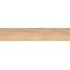 Alpas Euro Wood Vocore Camel Керамогранит 20x120 см, Индия, под дерево - фото 10