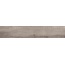 Alpas Euro Wood Vocore Grey Керамогранит 20x120 см, Индия, под дерево - фото 2
