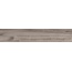 Alpas Euro Wood Vocore Grey Керамогранит 20x120 см, Индия, под дерево - фото 5