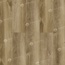 Alpine Floor Premium 12 ECO 24-5 Дуб Серена Инженерная кварц-виниловая плитка (WPC) 152,4x22,8x1,2 см, Россия - фото 1