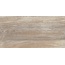 AltaCera Detroit WT9DET08 Wood Настенная плитка 24,9x50 см, Россия, под дерево - фото 1