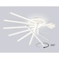 Ambrella Light COMFORT FL6241 Люстра потолочная 90x75x23 см, Россия - фото 5