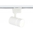 Ambrella Light GL GL5216 Трековый светильник Россия - фото 1