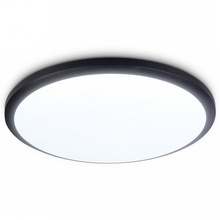 Ambrella Light Fz FZ1233 Потолочный светильник Россия - фото 1 Ambrella Light Fz FZ1233 Потолочный светильник Россия - фото 1 - фото 1