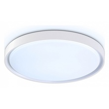 Ambrella Light Fz FZ1246 Потолочный светильник Россия - фото 1 Ambrella Light Fz FZ1246 Потолочный светильник Россия - фото 1 - фото 1