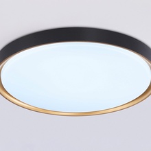 Ambrella Light Fz FZ1249 Потолочный светильник Россия - фото 1 - 2 Ambrella Light Fz FZ1249 Потолочный светильник Россия - фото 1 - фото 2