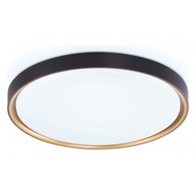 Ambrella Light Fz FZ1249 Потолочный светильник Россия - фото 1 Ambrella Light Fz FZ1249 Потолочный светильник Россия - фото 1 - фото 1