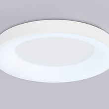 Ambrella Light Fz FZ1401 Потолочный светильник Россия - фото 1 - фото 4