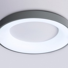 Ambrella Light Fz FZ1402 Потолочный светильник Россия - фото 1 - фото 4