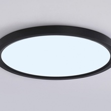 Ambrella Light Fz FZ1908 Потолочный светильник Россия - фото 1 - фото 4