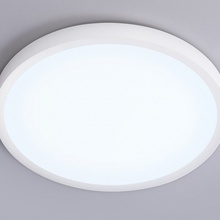 Ambrella Light Fz FZ1951 Потолочный светильник Россия - фото 1 - 2 Ambrella Light Fz FZ1951 Потолочный светильник Россия - фото 1 - фото 2