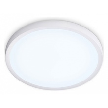 Ambrella Light Fz FZ1951 Потолочный светильник Россия - фото 1 Ambrella Light Fz FZ1951 Потолочный светильник Россия - фото 1 - фото 1