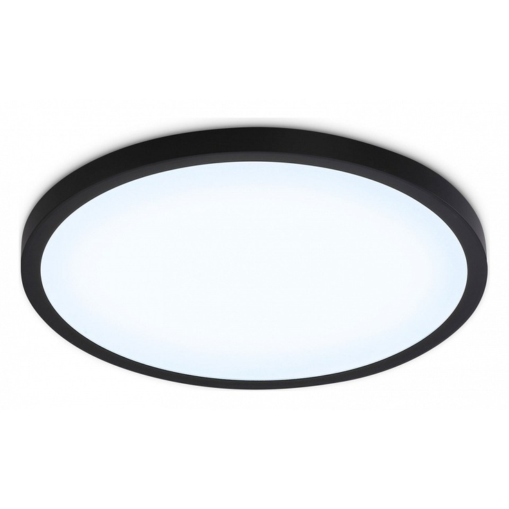 Ambrella Light Fz FZ1961 Потолочный светильник Россия - фото 1 Ambrella Light Fz FZ1961 Потолочный светильник Россия - фото 1