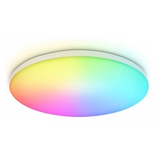 Ambrella Light Fz FZ2001 Потолочный светильник Россия - фото 1 Ambrella Light Fz FZ2001 Потолочный светильник Россия - фото 1 - фото 1