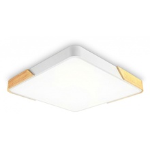 Ambrella Light Fz FZ1313 Потолочный светильник 40x40x5 см, Россия - фото 1 Ambrella Light Fz FZ1313 Потолочный светильник 40x40x5 см, Россия - фото 1 - фото 1