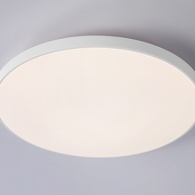 Ambrella Light Fz FZ1221 Потолочный светильник Россия - фото 1 - 2 Ambrella Light Fz FZ1221 Потолочный светильник Россия - фото 1 - фото 2