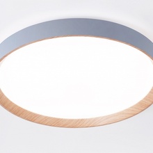 Ambrella Light Fz FZ1322 Потолочный светильник Россия - фото 1 - 2 Ambrella Light Fz FZ1322 Потолочный светильник Россия - фото 1 - фото 2