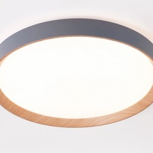 Ambrella Light Fz FZ1322 Потолочный светильник Россия - фото 1 - 3 Ambrella Light Fz FZ1322 Потолочный светильник Россия - фото 1 - фото 3