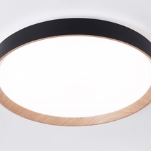 Ambrella Light Fz FZ1326 Потолочный светильник Россия - фото 1 - 2 Ambrella Light Fz FZ1326 Потолочный светильник Россия - фото 1 - фото 2