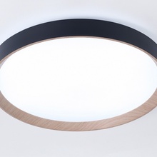 Ambrella Light Fz FZ1326 Потолочный светильник Россия - фото 1 - фото 4