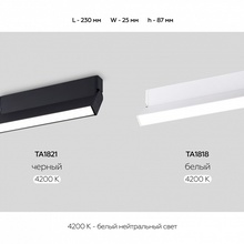 Ambrella Light Ta TA1818 Настенно-потолочный светильник 23x2,2x8,7 см, Россия - фото 1 - фото 4