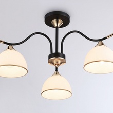 Ambrella Light Tr TR3161 Люстра Россия - фото 1 - 3 Ambrella Light Tr TR3161 Люстра Россия - фото 1 - фото 3