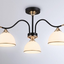 Ambrella Light Tr TR3161 Люстра Россия - фото 1 - 2 Ambrella Light Tr TR3161 Люстра Россия - фото 1 - фото 2