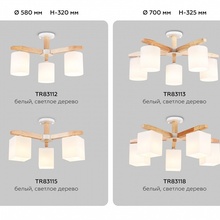 Ambrella Light Tr TR83112 Люстра Россия - фото 1 - фото 4