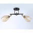 Ambrella Light Tr TR303032 Потолочный светильник 58x14,5x17,5 см, Россия - фото 3