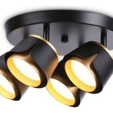 Ambrella Light TN TN71243 Спот Россия - фото 1 - фото 4