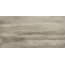 Apavisa Forma 8431940269233 Taupe Patinato Керамогранит 59,55x119,3 см, Испания - фото 1