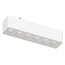 Aployt Magnetic Track 48 APL.0100.10.06 Потолочный светильник 12,2x2,6x2,4 см, Польша - фото 1