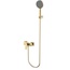 AQUAme Imola AQM6713BG Для душа Шлифованное золото Смеситель для душа, Италия - фото 1