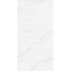 Creanza Coralina CP4003-D White Decor Керамогранит 60x120 см, Индия, под мрамор - фото 4 Creanza Coralina CP4003-D White Decor Керамогранит 60x120 см, Индия, под мрамор - фото 4