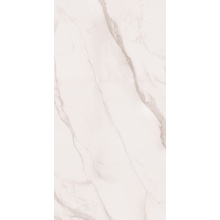 Arcadia Ceramica Statuario Silk SM1004-A Satin Matt Керамогранит 60x120 см, Индия, под мрамор - фото 1 - фото 1