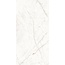 Arcadia Ceramica Valencia CR4027-A Silver Grey Carving Керамогранит 60x120 см, Индия, под камень  - фото 1