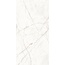 Arcadia Ceramica Valencia CR4027-A Silver Grey Carving Керамогранит 60x120 см, Индия, под камень  - фото 1