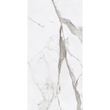 Ariana Epoque White Statuario Lapp Керамогранит 60x120 см, для ванной, стиль: современный, цвет: черно-белая, Италия, под камень  - фото 1 - фото 1