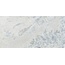 Ariostea Marmi Classici PL612609S8 Crystal Sky Polished Керамогранит 60x120 см, Италия, под мрамор - фото 1