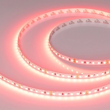 Arlight A120 24V 8Mm 9.6 W/M 43383 Лента светодиодная 500x0,8 см, Россия - фото 1 - фото 1