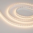 Arlight Cx2 Резка 028737(2) Лента светодиодная 500x1 см, Россия - фото 1