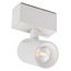 Arlight MAG-SPOT-45-R85-7W Day4000 (WH, 24 deg, 24V) 26965 Светильник 8,4x3,5x13,5 см, Россия - фото 1