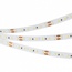 Arlight Microled 024439(2) Лента светодиодная 500x0,8 см, Россия - фото 2
